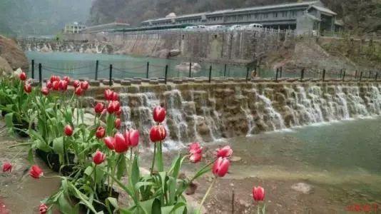 听劝,是这个城市的主题词,这个城市是沈阳